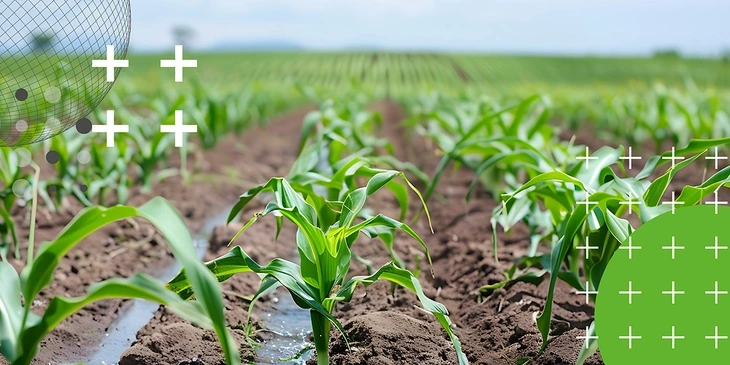 Nährstoffeffizienz für deinen Betrieb